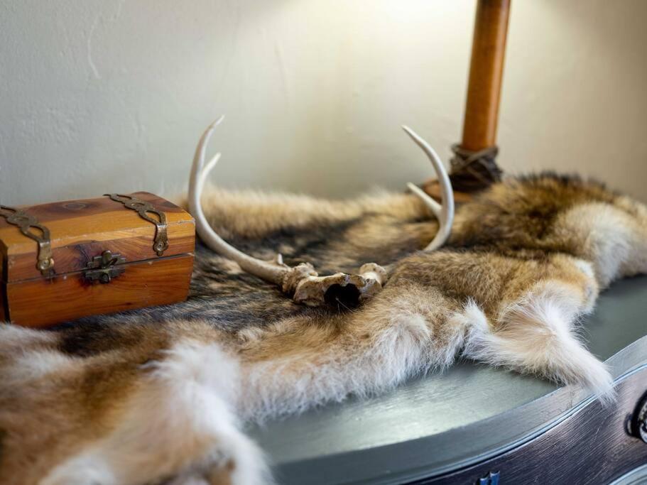 Stonegate Lodge Bear'S Den Kitchen, Pool, Firepit, Wifi ,Smart Tvs 尤里卡斯普林斯 外观 照片